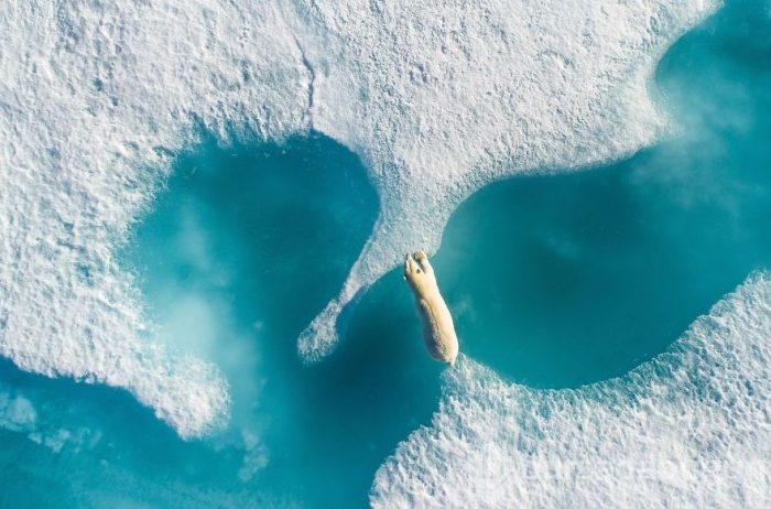 En iyi drone fotoğrafları