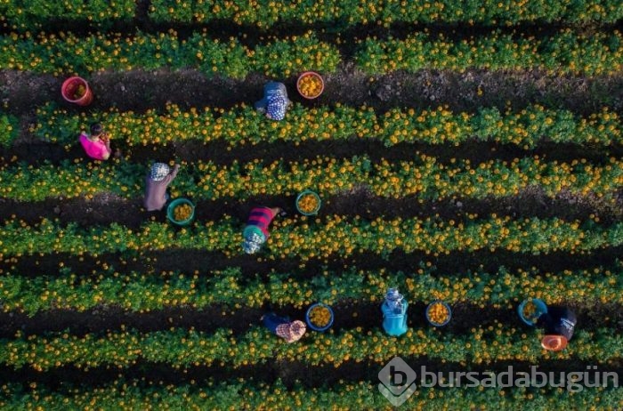 En iyi drone fotoğrafları