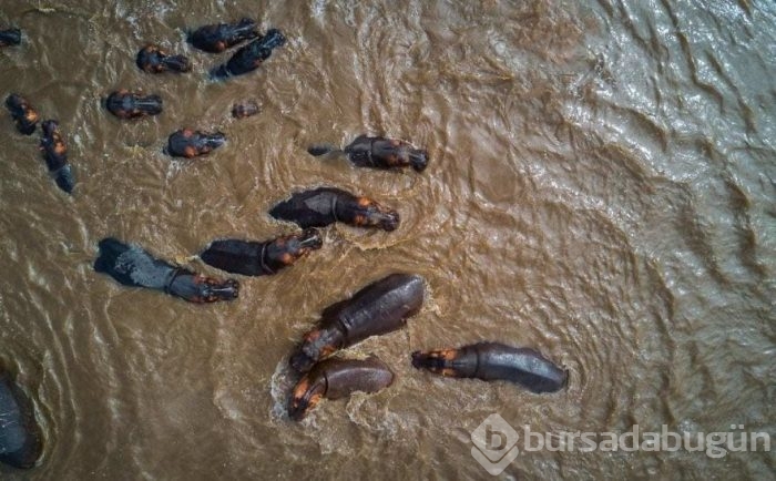En iyi drone fotoğrafları