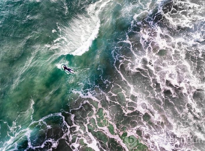 En iyi drone fotoğrafları