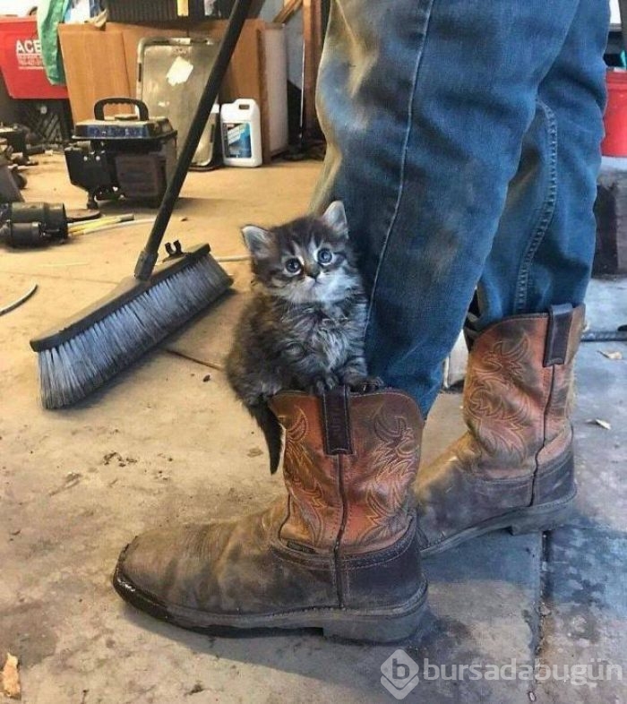 Günün en çılgın fotoğrafları