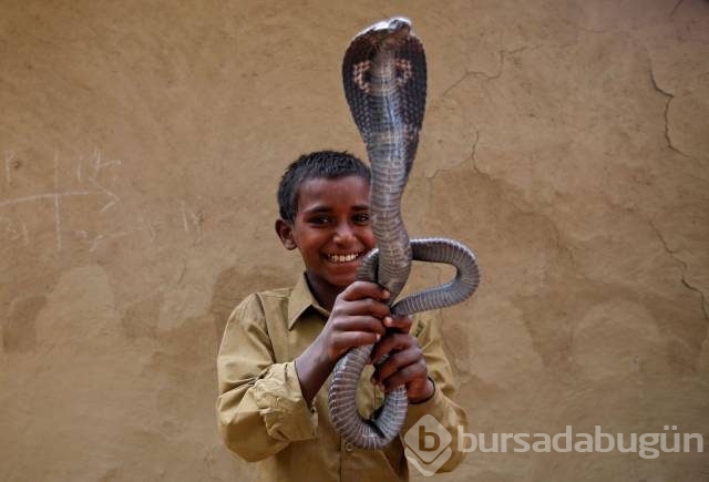 Günün en çılgın fotoğrafları