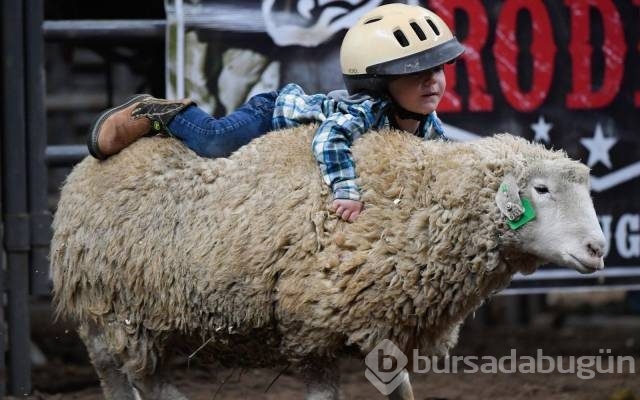 Günün en çılgın fotoğrafları