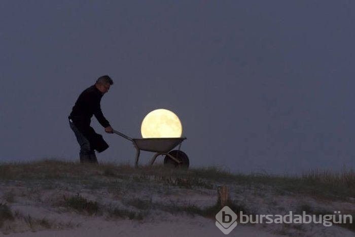 Birbirinden ilginç kareler!