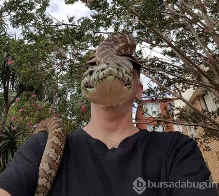 Birbirinden ilginç kareler!
