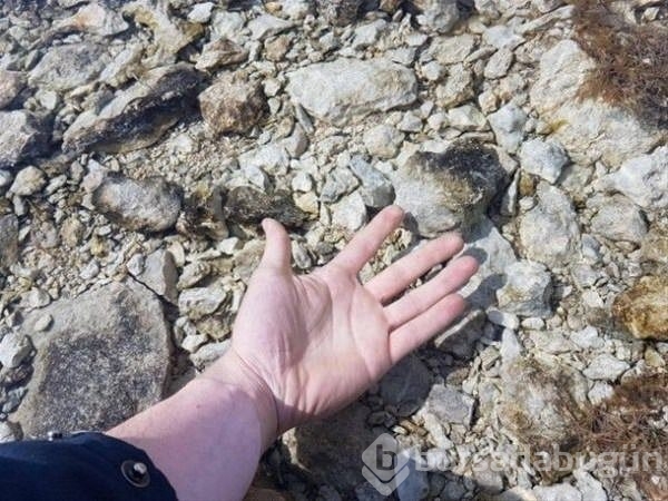 Dünyadan ilginç fotoğraflar