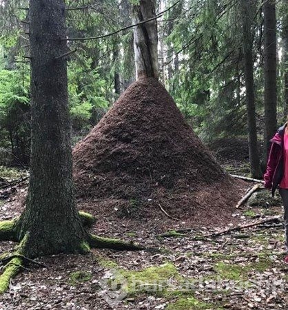 Dünyadan ilginç fotoğraflar