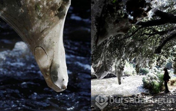 Dünyadan ilginç fotoğraflar