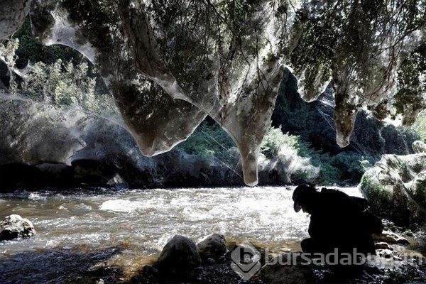 Dünyadan ilginç fotoğraflar