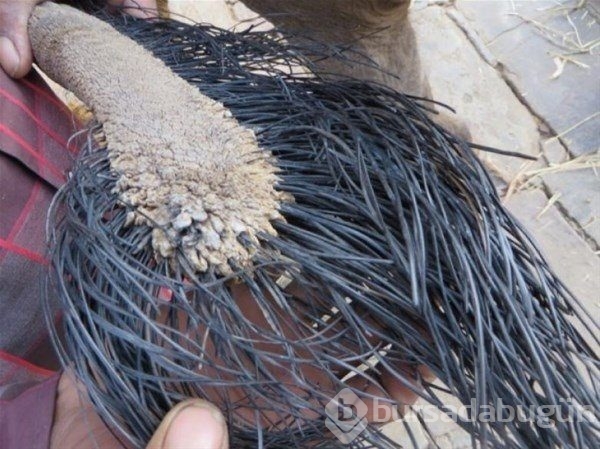 Dünyadan ilginç fotoğraflar