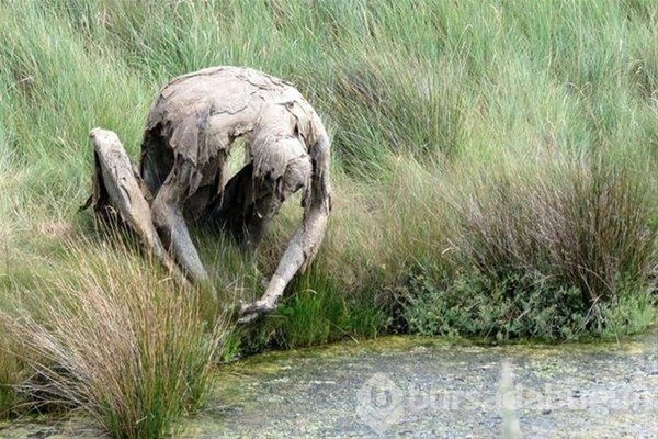 Dünyadan ilginç fotoğraflar