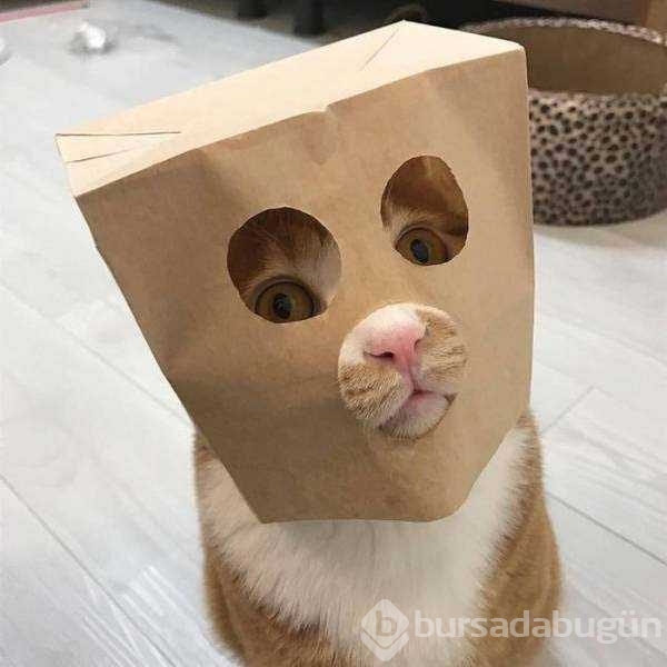 Günün en çok paylaşılan fotoğrafları