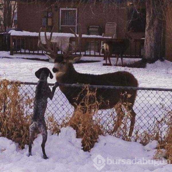 Günün en çok paylaşılan fotoğrafları