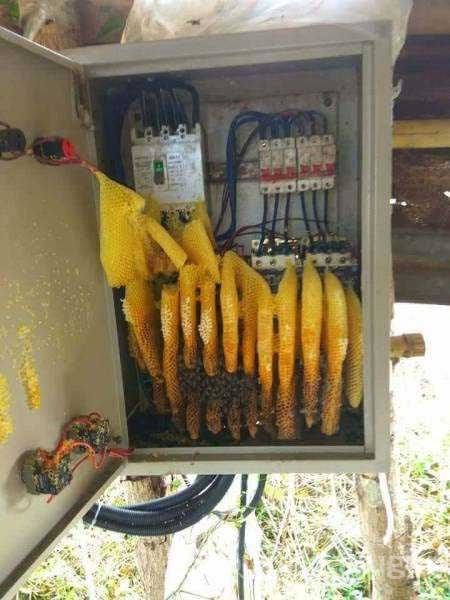 Günün en çok paylaşılan fotoğrafları