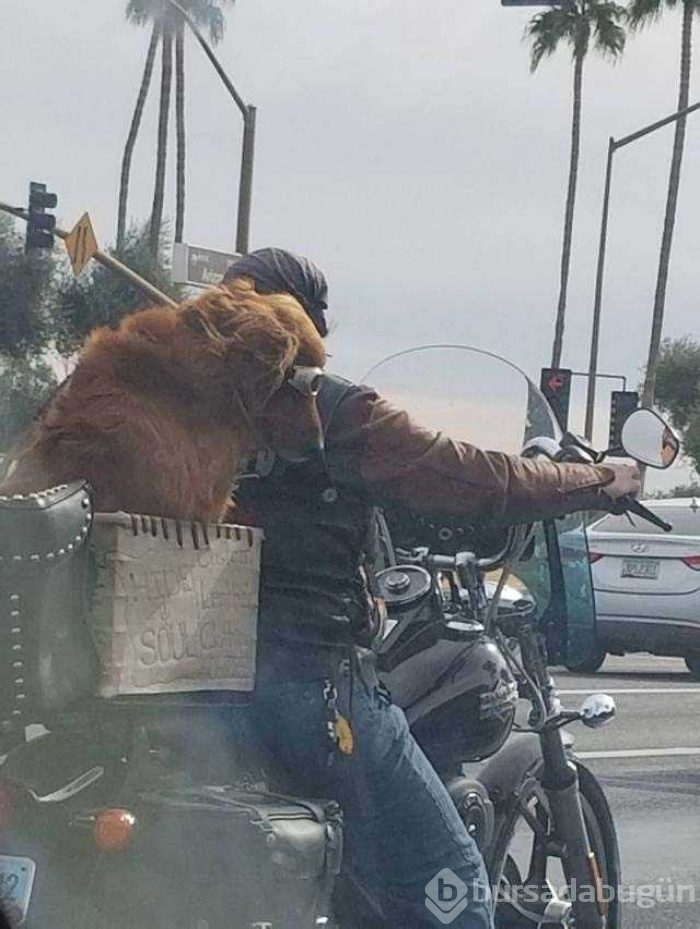 Günün en çok paylaşılan fotoğrafları