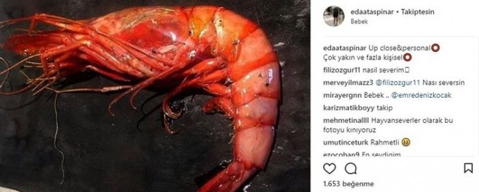 Ünlülerin Instagram paylaşımları (10.01.2018)
