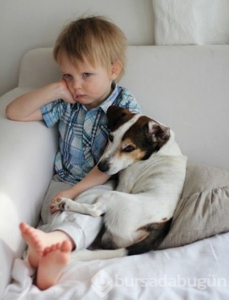 Bebek ve köpeklerin muhteşem dostluğu
