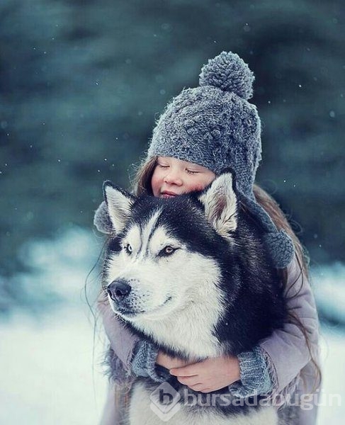 Bebek ve köpeklerin muhteşem dostluğu
