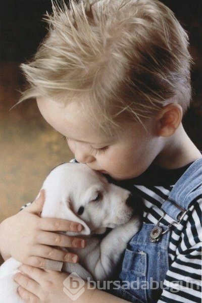 Bebek ve köpeklerin muhteşem dostluğu
