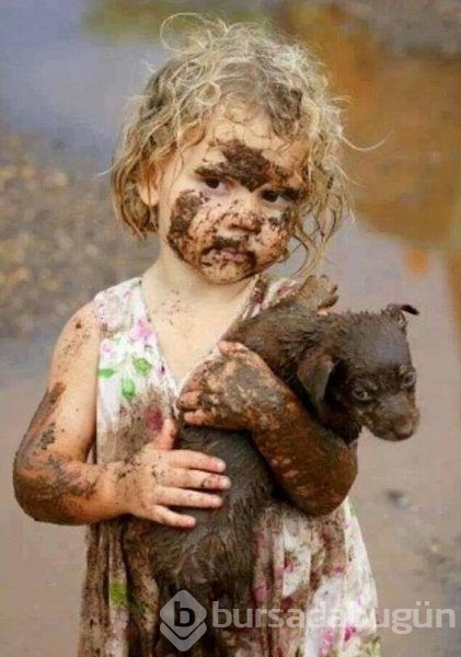 Bebek ve köpeklerin muhteşem dostluğu
