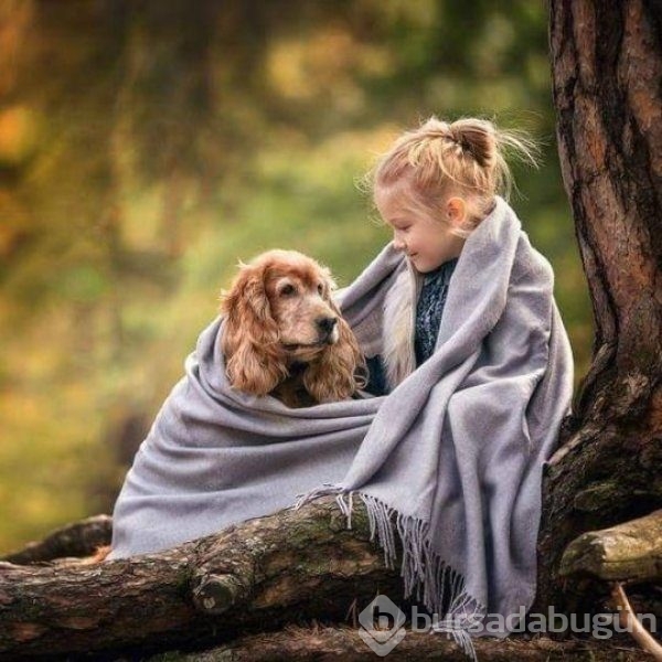 Bebek ve köpeklerin muhteşem dostluğu
