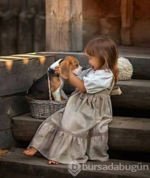 Bebek ve köpeklerin muhteşem dostluğu
