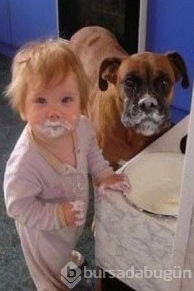 Bebek ve köpeklerin muhteşem dostluğu
