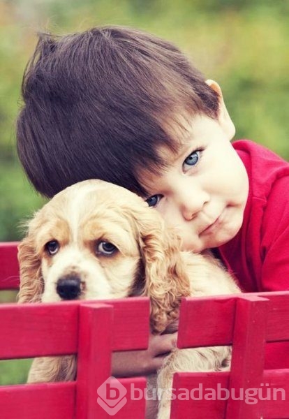 Bebek ve köpeklerin muhteşem dostluğu
