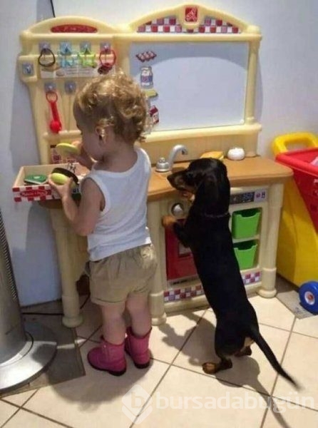 Bebek ve köpeklerin muhteşem dostluğu
