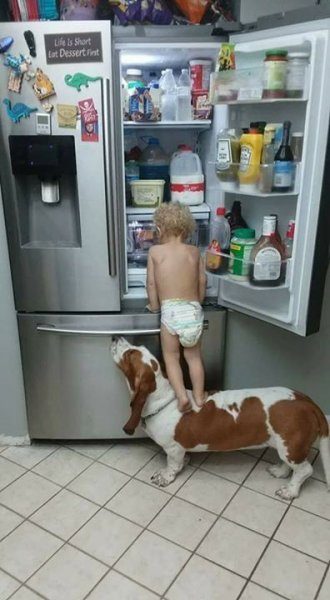 Bebek ve köpeklerin muhteşem dostluğu
