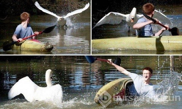 1 saniye sonrasını merak edeceğiniz fotoğraflar