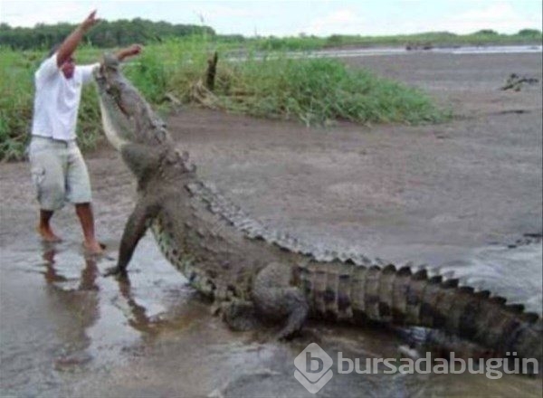 1 saniye sonrasını merak edeceğiniz fotoğraflar