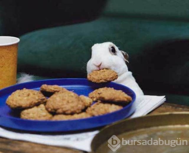 1 saniye sonrasını merak edeceğiniz fotoğraflar