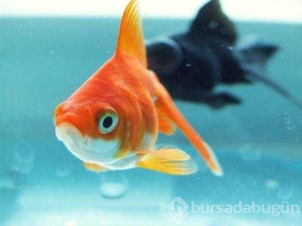 Yıllarca doğru bildiğimiz yanlışlar
