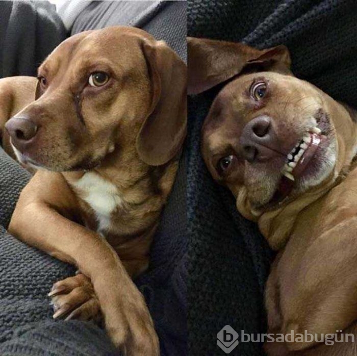 Günün en çok paylaşılan fotoğrafları