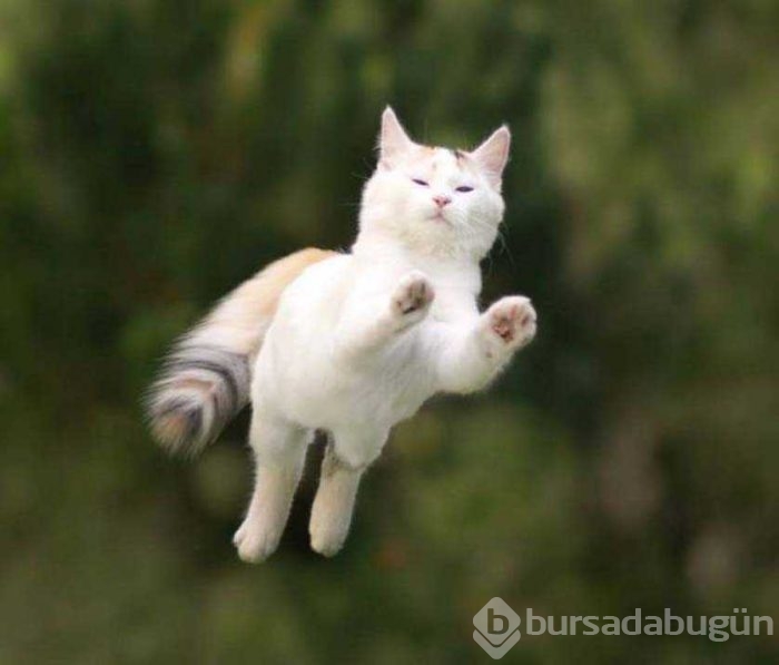 Günün en çok paylaşılan fotoğrafları