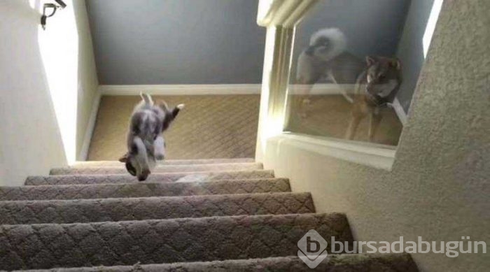 Günün en çok paylaşılan fotoğrafları