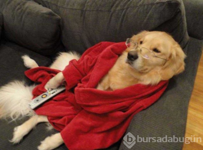 Günün en çok paylaşılan fotoğrafları