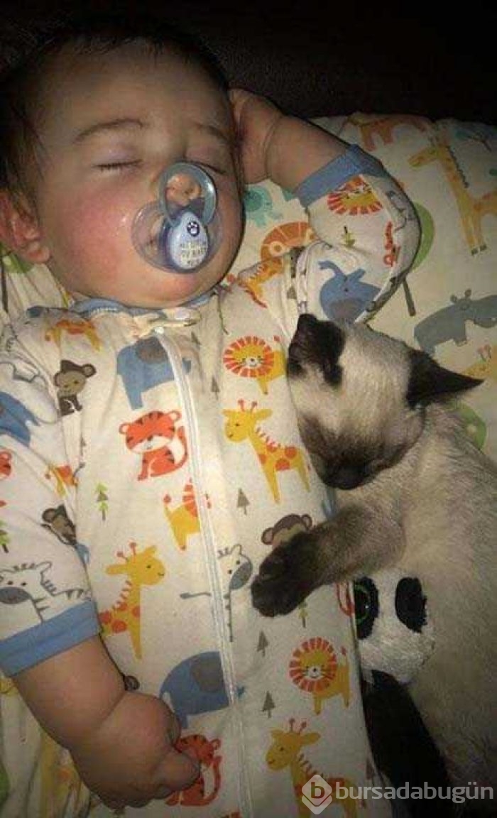 Günün en çok paylaşılan fotoğrafları