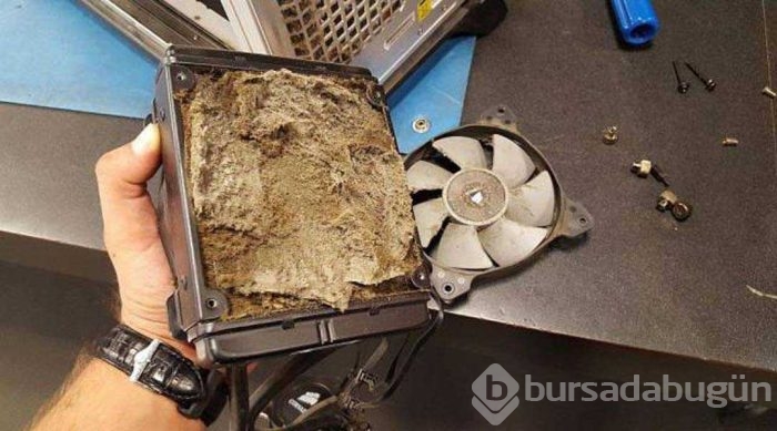 Günün en çok paylaşılan fotoğrafları