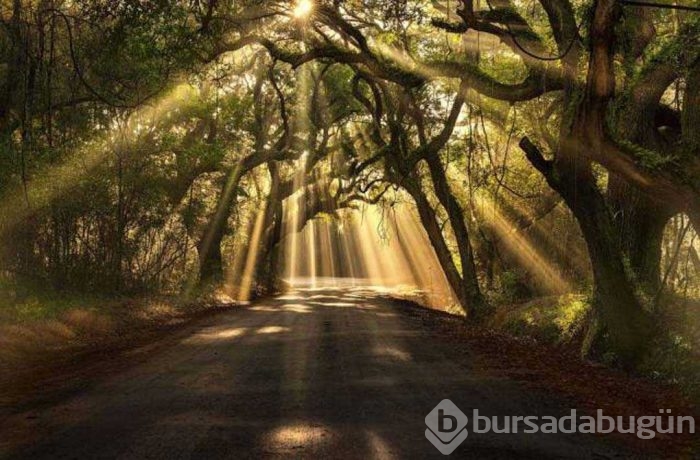 Günün en çok paylaşılan fotoğrafları