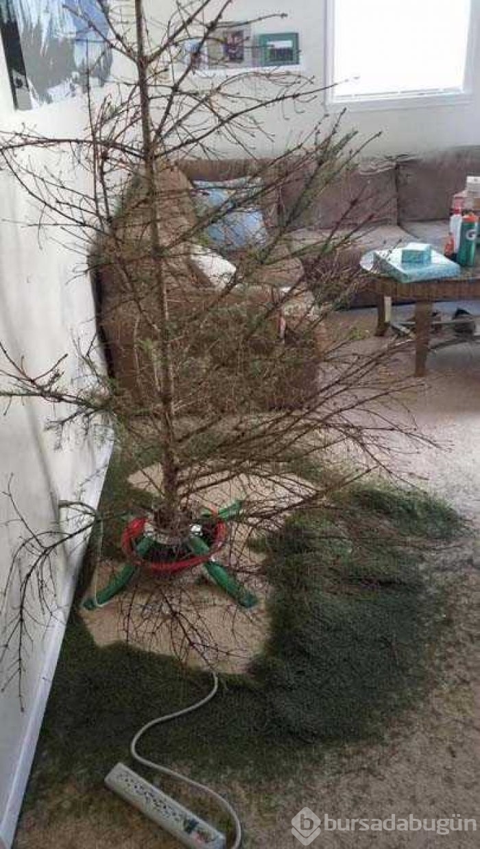 Günün en çok paylaşılan fotoğrafları