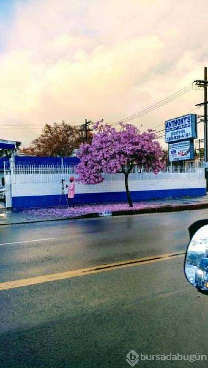 Günün en çok paylaşılan fotoğrafları