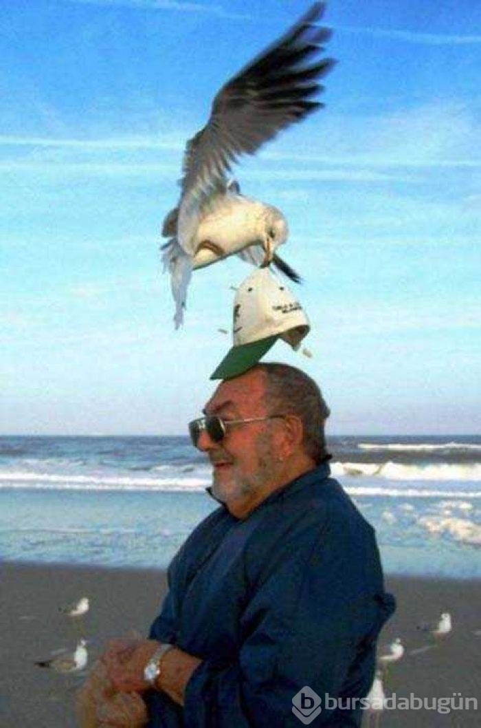 Günün en çok paylaşılan fotoğrafları