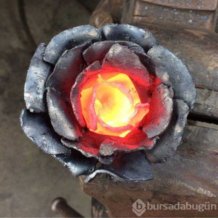 Günün en çok paylaşılan fotoğrafları