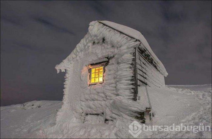 Günün en çok paylaşılan fotoğrafları