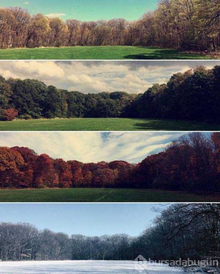 Günün en çok paylaşılan fotoğrafları