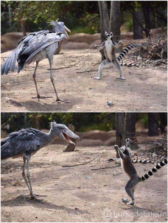 Günün en çok paylaşılan fotoğrafları