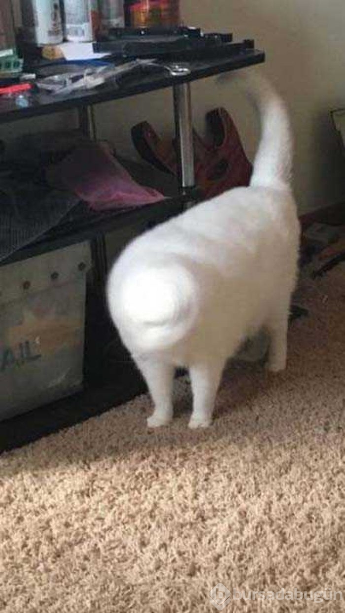 Günün en çok paylaşılan fotoğrafları