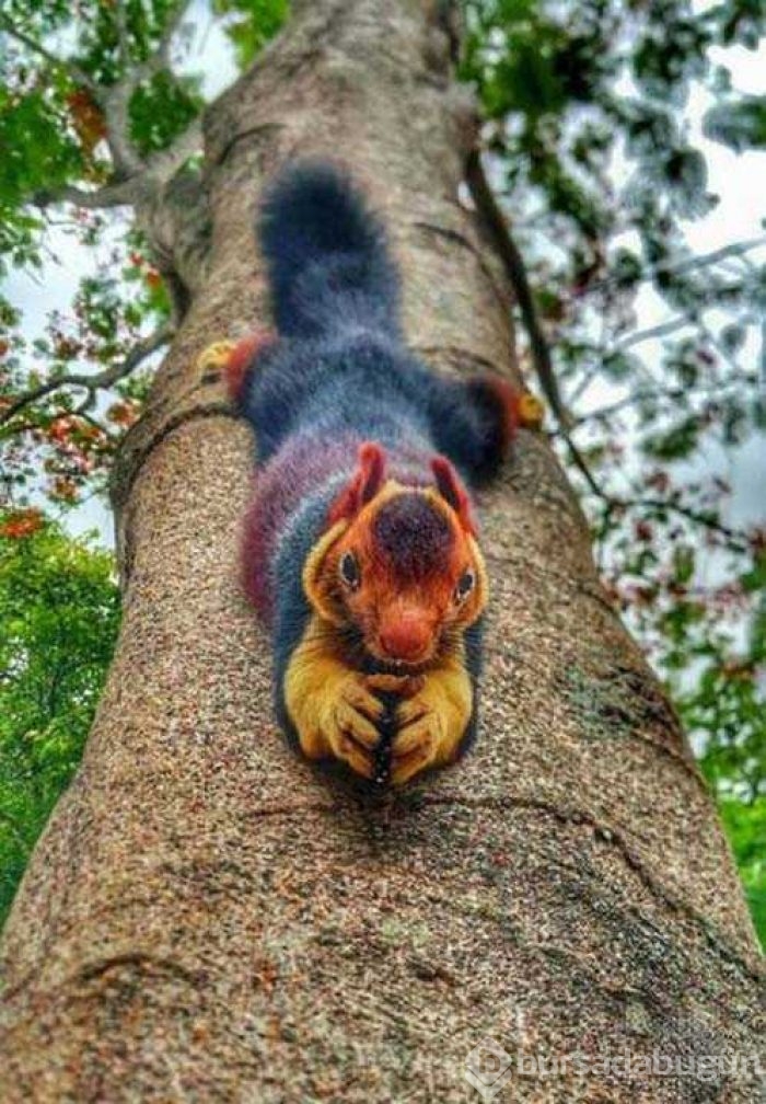 Günün en çok paylaşılan fotoğrafları